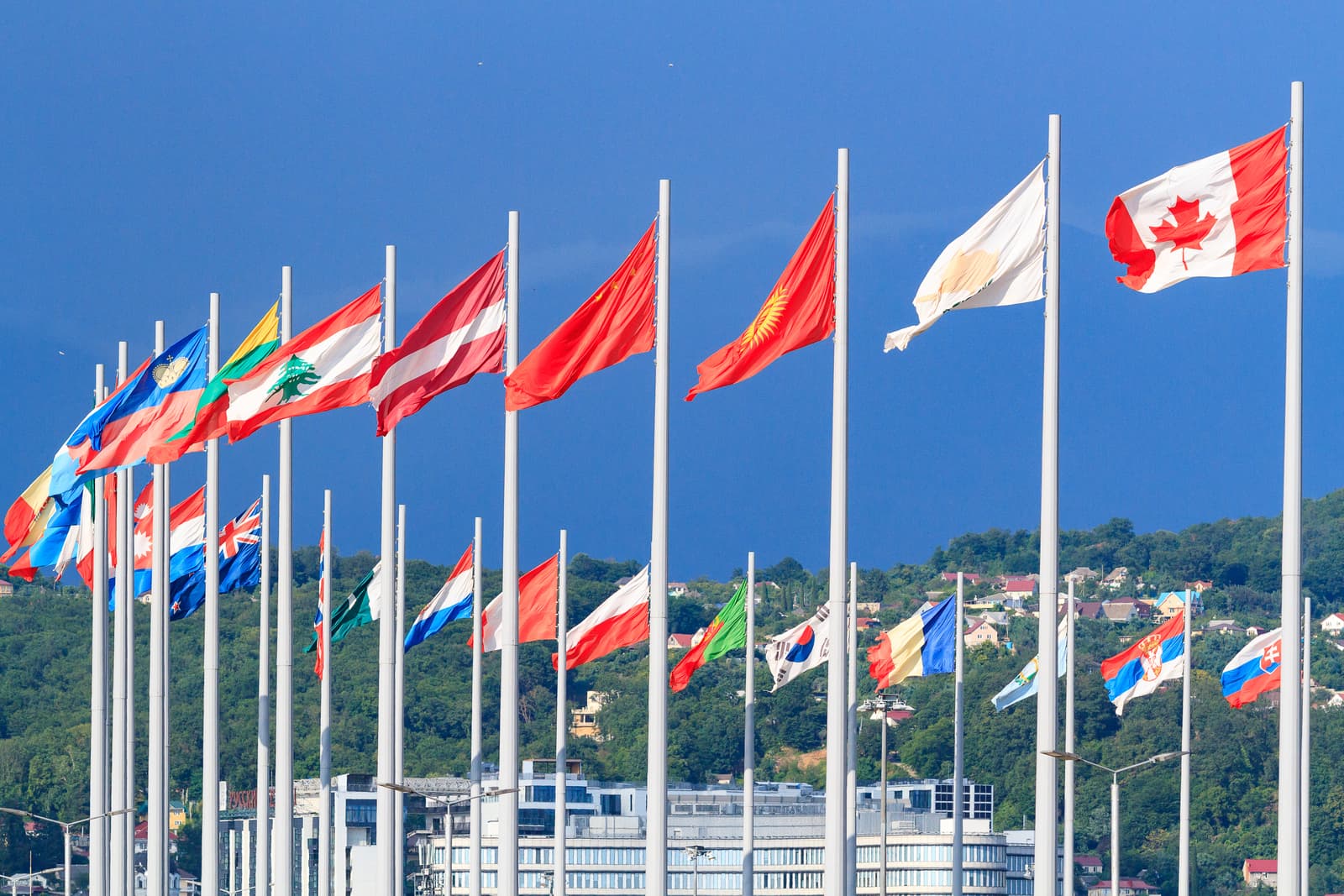 flags flags